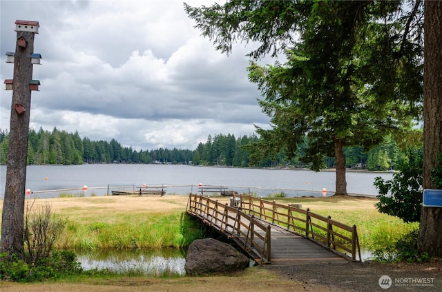 110 E Shannon Pl, Shelton, WA 98584 - dock area with a water view and a forest view