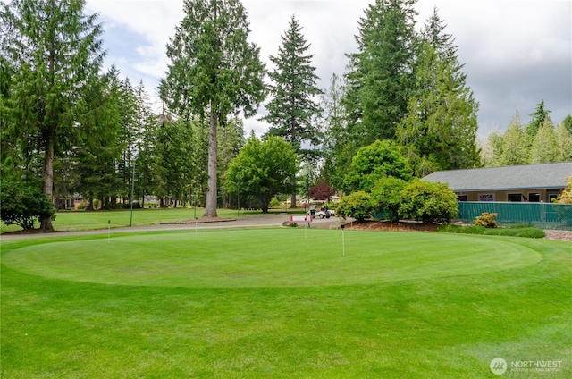 110 E Shannon Pl, Shelton, WA 98584 - surrounding community with a putting green and view of scattered trees