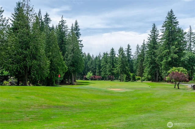 110 E Shannon Pl, Shelton, WA 98584 - view of property's community featuring a lawn