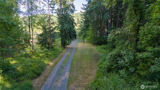 15134 Military Rd SE, Tenino, WA 98589 - photo 34