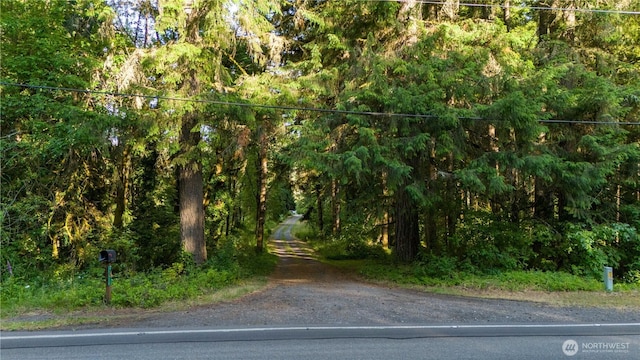 15134 Military Rd SE, Tenino, WA 98589 - photo 35