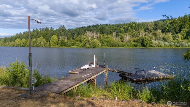 15134 Military Rd SE, Tenino, WA 98589 - photo 36