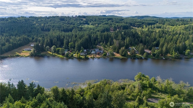 15134 Military Rd SE, Tenino, WA 98589 - photo 40