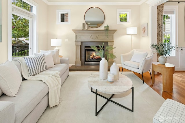 2621 NE Park Dr, Issaquah, WA 98029 - living area with crown molding, light wood finished floors, and a fireplace