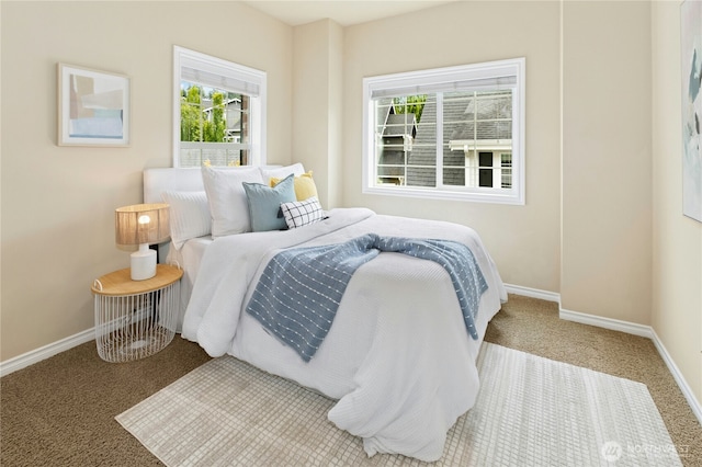 2621 NE Park Dr, Issaquah, WA 98029 - bedroom with carpet flooring and baseboards