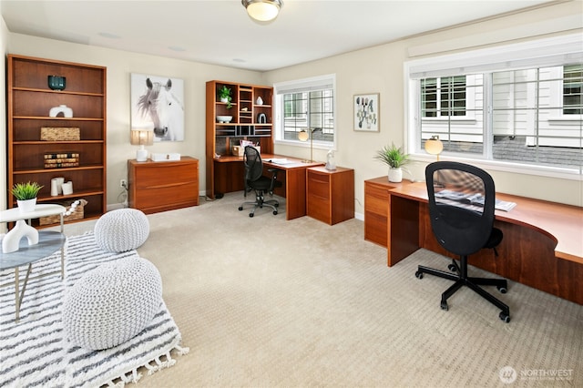 2621 NE Park Dr, Issaquah, WA 98029 - office space with carpet floors and baseboards