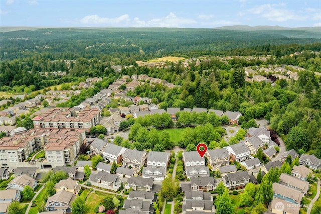 2621 NE Park Dr, Issaquah, WA 98029 - aerial view of residential area featuring a heavily wooded area