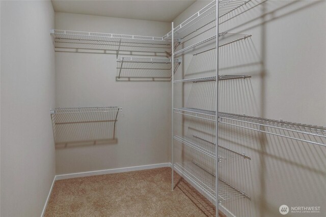 18308 37th Ave E, Tacoma, WA 98446 - photo 21