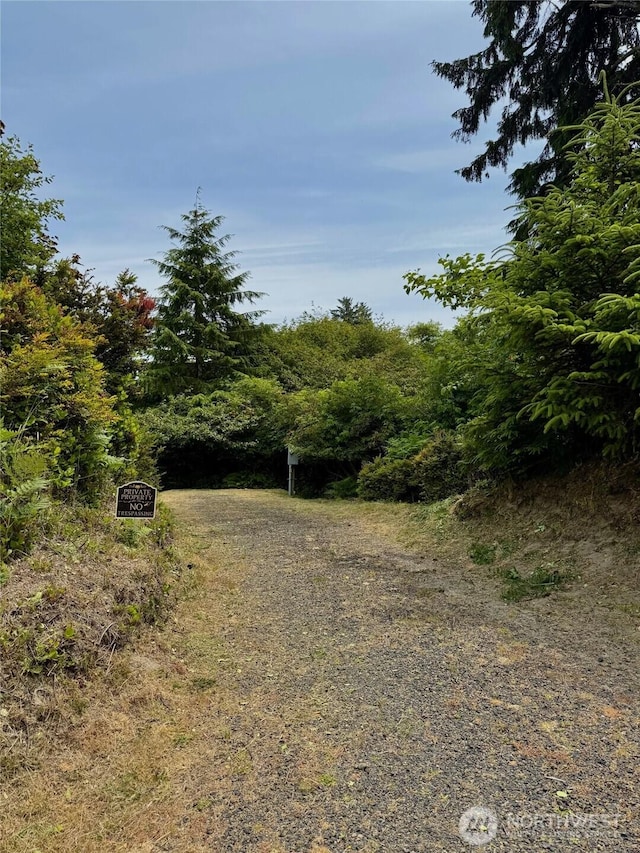 430 Dolphin Ave NE, Ocean Shores, WA 98569 - photo 2