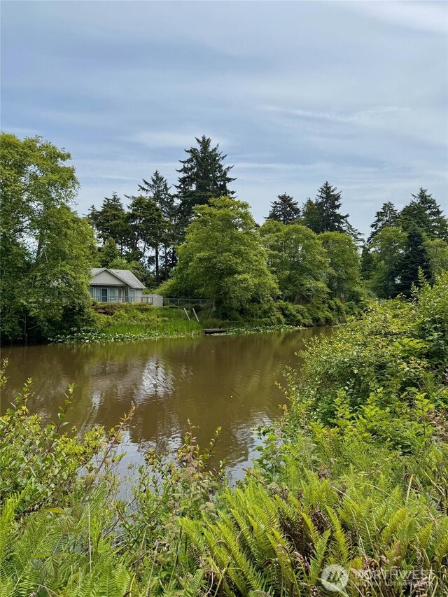 430 Dolphin Ave NE, Ocean Shores, WA 98569 - photo 4