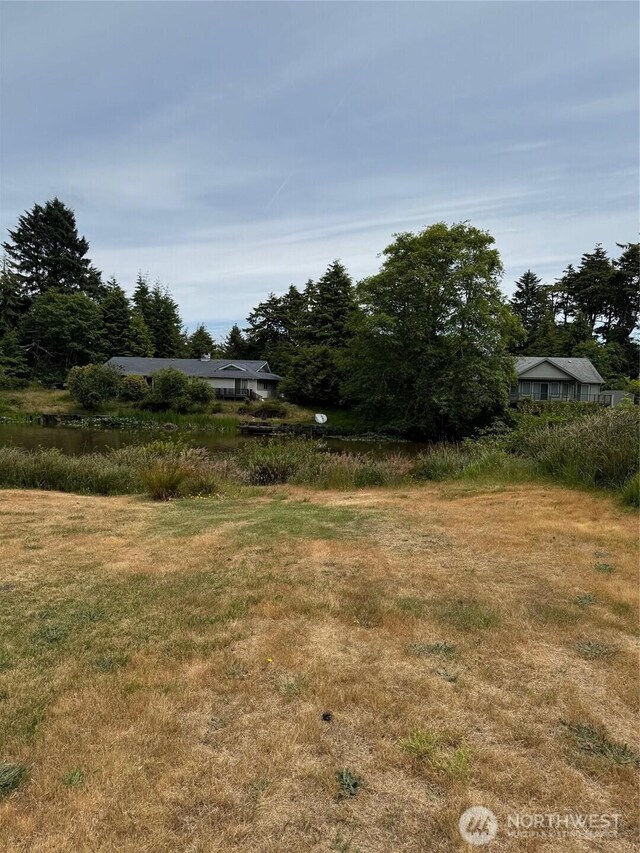 430 Dolphin Ave NE, Ocean Shores, WA 98569 - photo 5