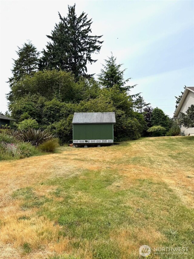 430 Dolphin Ave NE, Ocean Shores, WA 98569 - photo 8