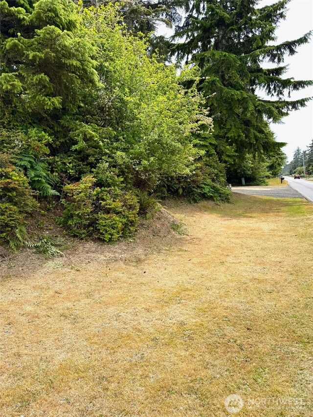 430 Dolphin Ave NE, Ocean Shores, WA 98569 - photo 11