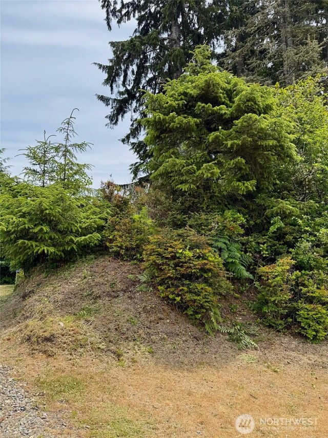 430 Dolphin Ave NE, Ocean Shores, WA 98569 - photo 12