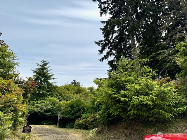 430 Dolphin Ave NE, Ocean Shores, WA 98569 - photo 13