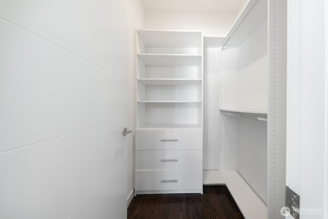 1136 10th Ave E Unit B, Seattle, WA 98102 - walk in closet with dark wood-type flooring