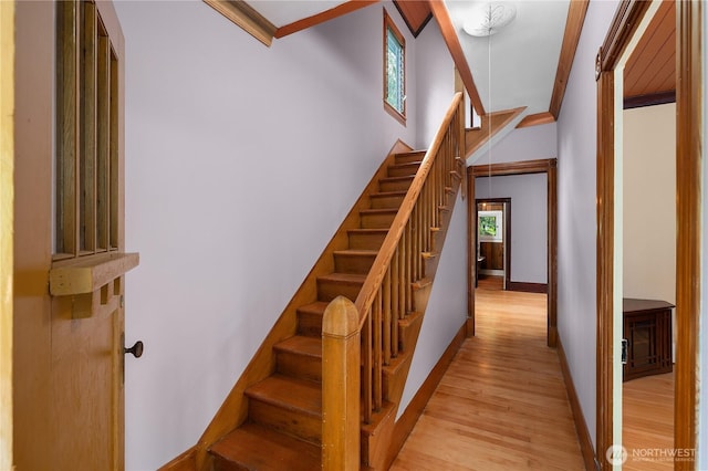 1114 5th Ave SW, Olympia, WA 98502 - stairs with wood finished floors, plenty of natural light, and crown molding