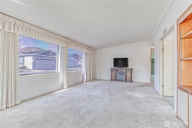 1700 Twin Peaks Dr Unit 71, Wenatchee, WA 98801 - unfurnished living room featuring carpet floors and a textured ceiling