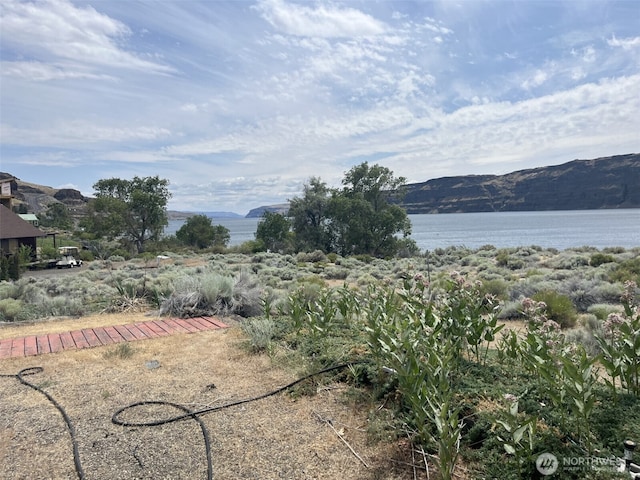 1038 SW Section Ave SW, Quincy, WA 98848 - water view featuring mountains