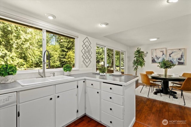 17019 426th Ave SE, North Bend, WA 98045 - kitchen featuring dishwasher, a peninsula, white cabinetry, dark wood-style floors, and light countertops