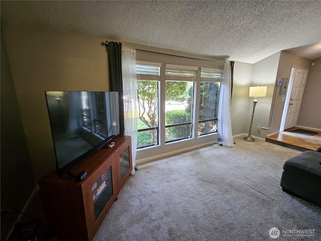 10924 SE 183rd Ct, Renton, WA 98055 - living room featuring healthy amount of natural light, carpet, and a textured ceiling