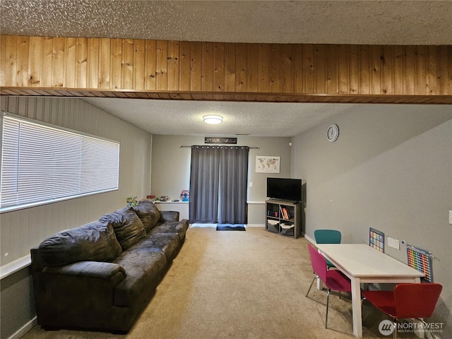 10924 SE 183rd Ct, Renton, WA 98055 - living area featuring carpet flooring, a textured ceiling, and wood walls
