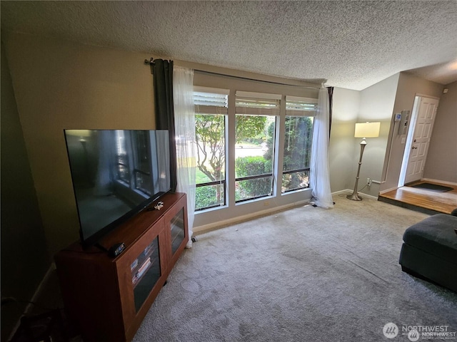 10924 SE 183rd Ct, Renton, WA 98055 - living room with plenty of natural light, carpet, and a textured ceiling