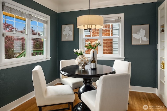 6524 Division Ave NW, Seattle, WA 98117 - photo 8