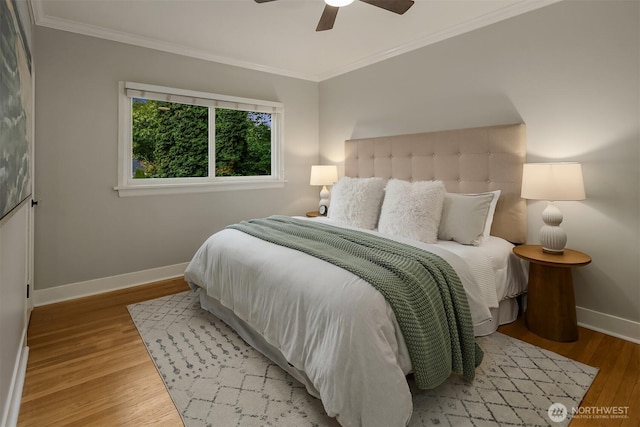 6524 Division Ave NW, Seattle, WA 98117 - photo 18