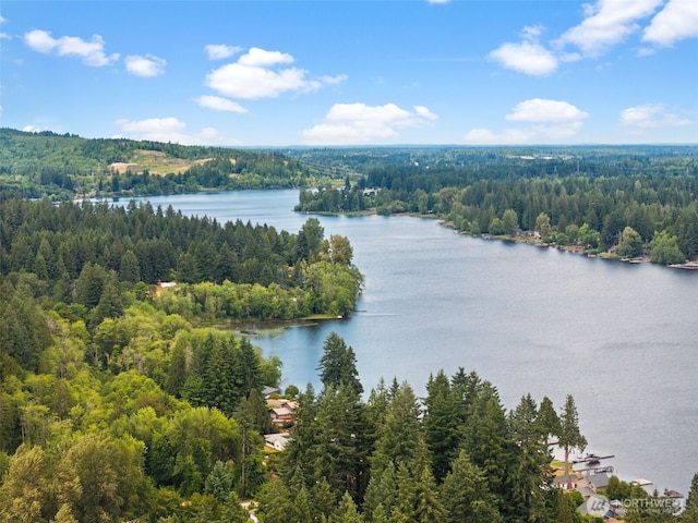 7207 Lakeside St SW, Olympia, WA 98512 - photo 40