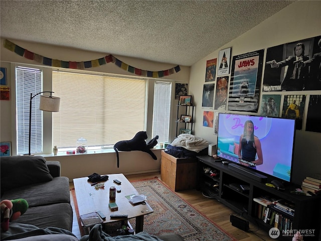 1208 NE 110th St, Seattle, WA 98125 - living room featuring a textured ceiling and wood finished floors