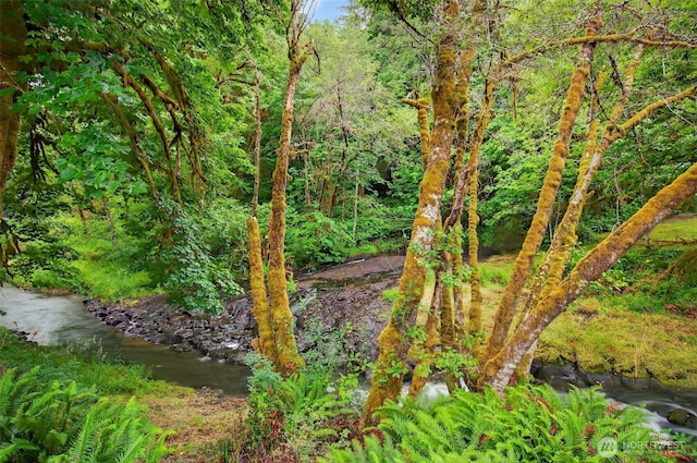 721 Abernathy Creek Rd, Longview, WA 98632 - view of tree filled area