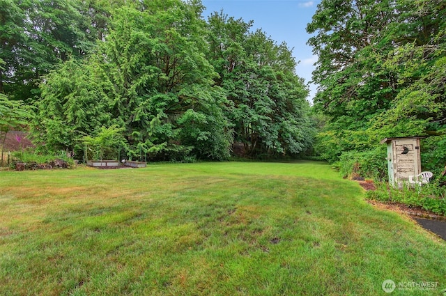721 Abernathy Creek Rd, Longview, WA 98632 - view of green lawn