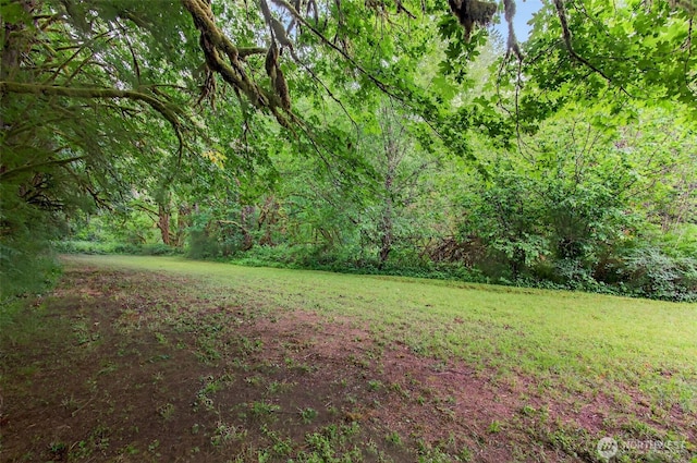 721 Abernathy Creek Rd, Longview, WA 98632 - view of grassy yard with a wooded view