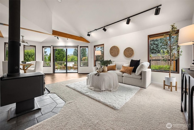 26710 NE Stephens St, Duvall, WA 98019 - living room featuring rail lighting, plenty of natural light, lofted ceiling, and a wood stove
