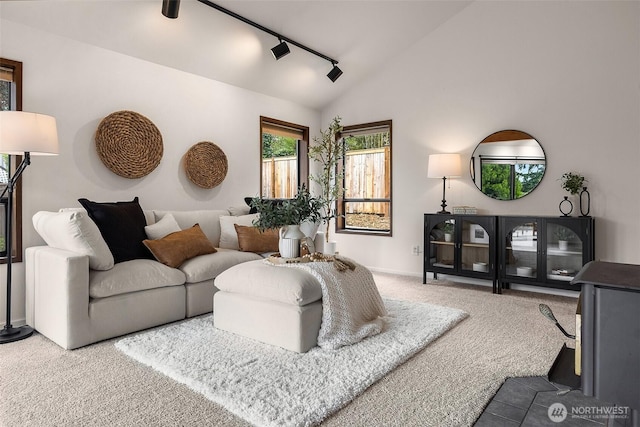 26710 NE Stephens St, Duvall, WA 98019 - living room with rail lighting, carpet, and vaulted ceiling