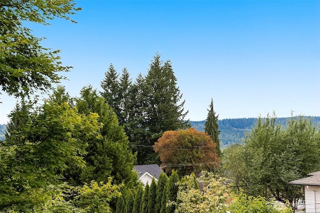 26710 NE Stephens St, Duvall, WA 98019 - mountain view with a forest