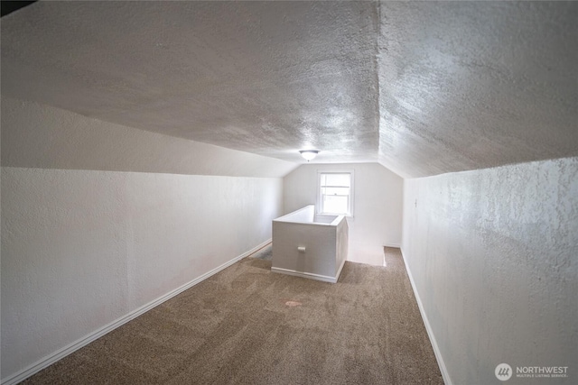1117 W Stockwell St, Aberdeen, WA 98520 - additional living space with carpet floors, vaulted ceiling, a textured ceiling, and a textured wall