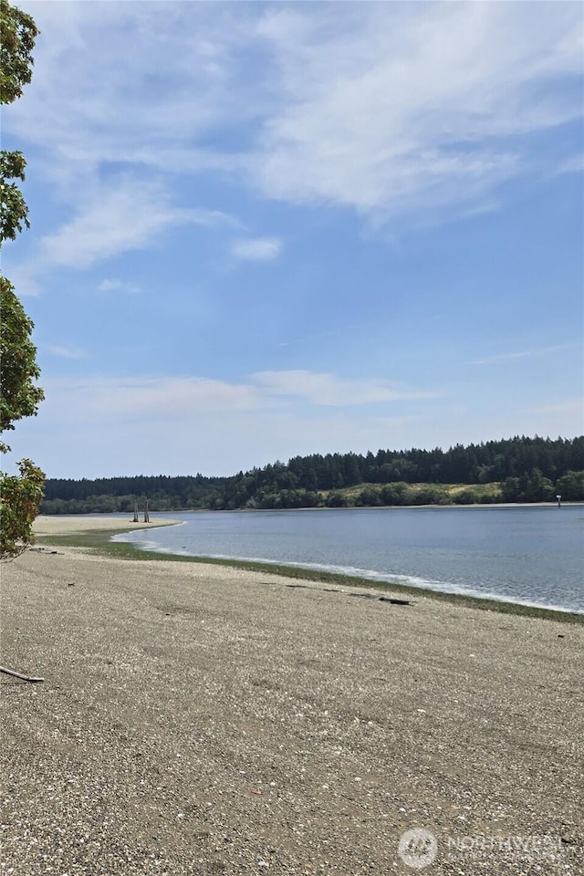14528 45th St SW, Lakebay, WA 98349