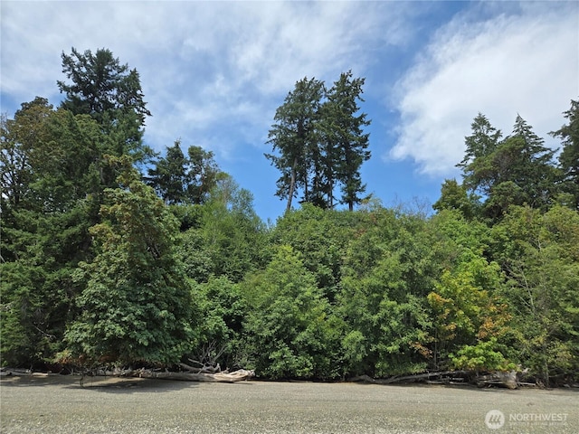 14528 45th St SW, Lakebay, WA 98349