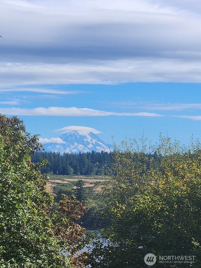 14528 45th St SW, Lakebay, WA 98349