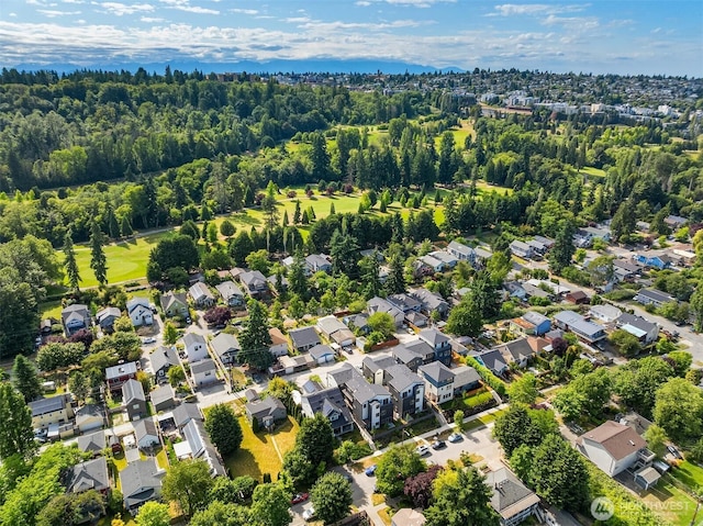 5037 25th Ave SW, Seattle, WA 98106 - aerial perspective of suburban area