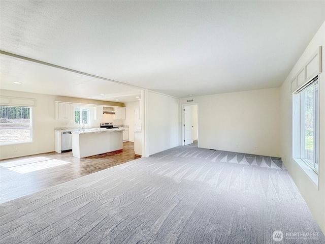 303 Critter Country Trl, Sequim, WA 98382 - unfurnished living room with light carpet and light wood-style flooring