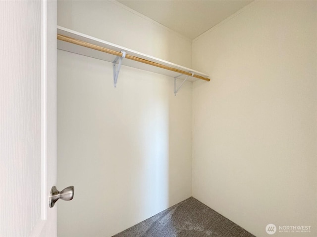 303 Critter Country Trl, Sequim, WA 98382 - walk in closet with carpet floors