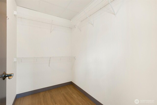 2033 2nd Ave Unit 2005, Seattle, WA 98121 - photo 10