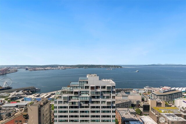 2033 2nd Ave Unit 2005, Seattle, WA 98121 - photo 20