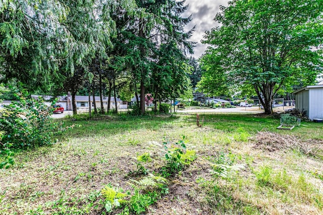 51XX SE 14th Ave, Lacey, WA 98503 - photo 7