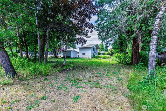 51XX SE 14th Ave, Lacey, WA 98503 - photo 8