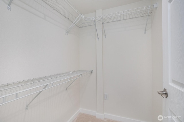 16812 125th Ave SE, Renton, WA 98058 - spacious closet with light carpet