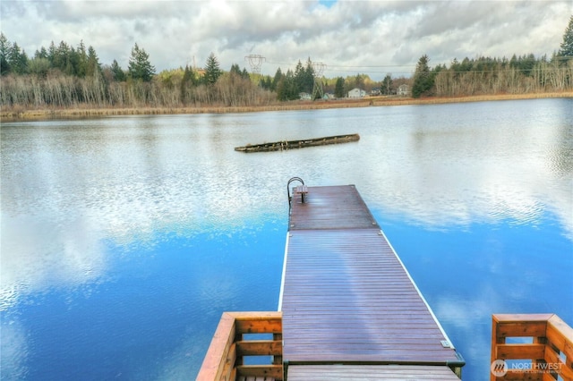 6241 Glenwood Dr SW, Olympia, WA 98512 - photo 22